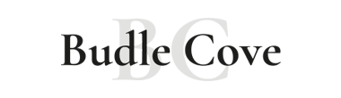 logo main